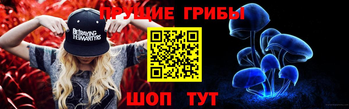 Донской  Псилоцибиновые грибы мицелий  Галлюциногенные грибы Cubensis  Вход с VPN 